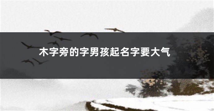 木字旁的字男孩起名字要大气