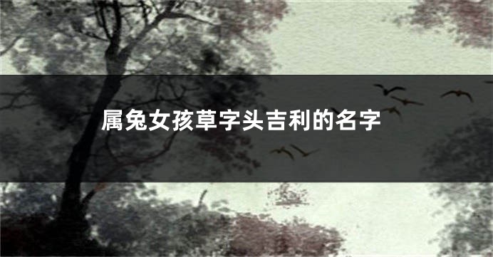 属兔女孩草字头吉利的名字