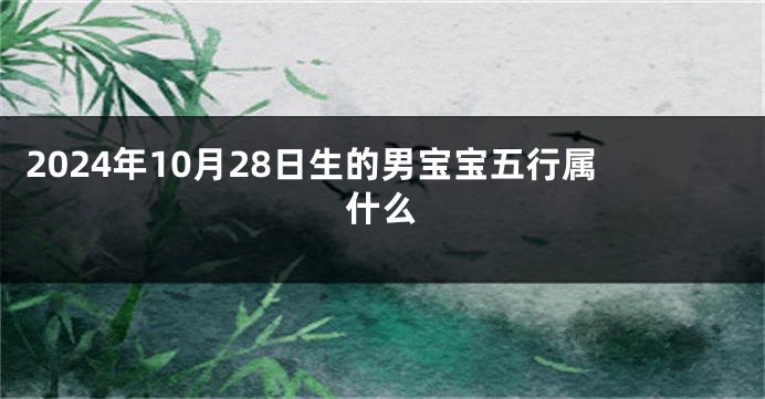 2024年10月28日生的男宝宝五行属什么