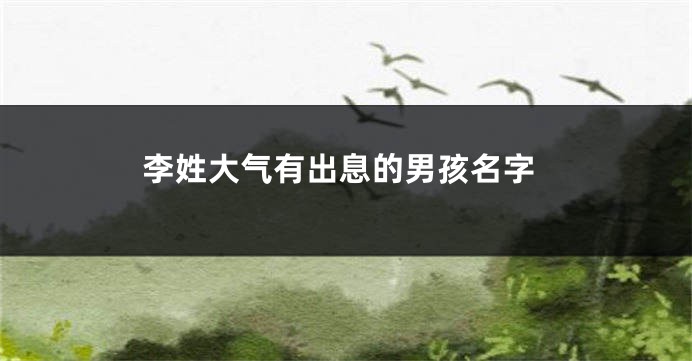 李姓大气有出息的男孩名字