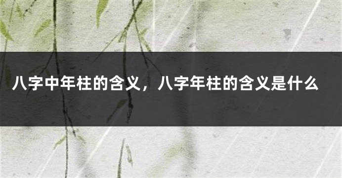 八字中年柱的含义，八字年柱的含义是什么