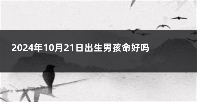 2024年10月21日出生男孩命好吗