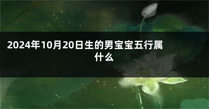 2024年10月20日生的男宝宝五行属什么