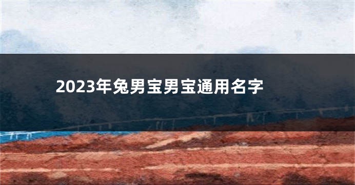 2023年兔男宝男宝通用名字