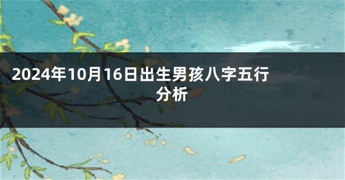 2024年10月16日出生男孩八字五行分析