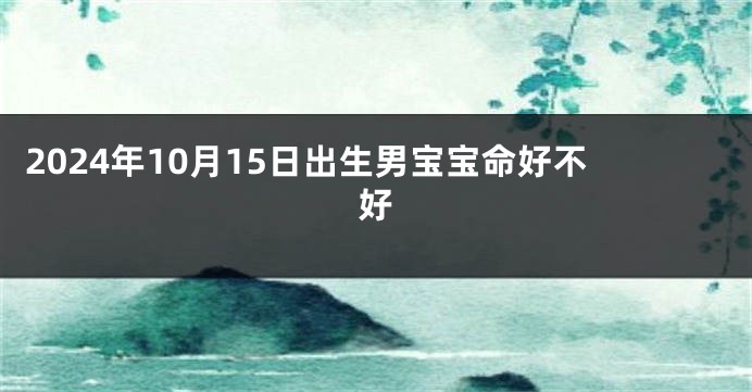 2024年10月15日出生男宝宝命好不好