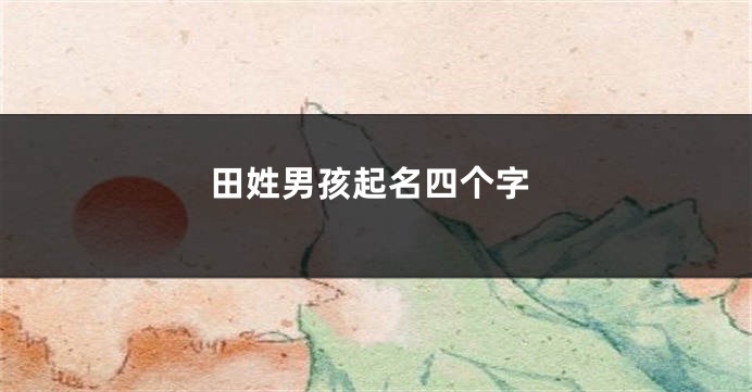 田姓男孩起名四个字