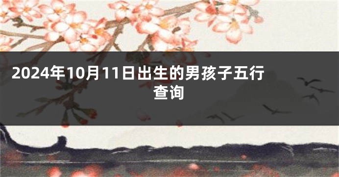 2024年10月11日出生的男孩子五行查询