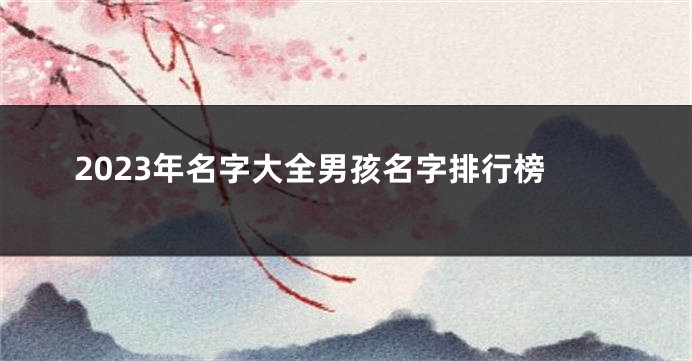 2023年名字大全男孩名字排行榜