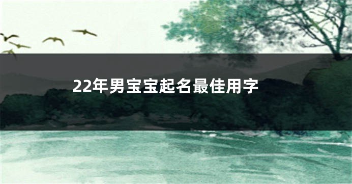 22年男宝宝起名最佳用字