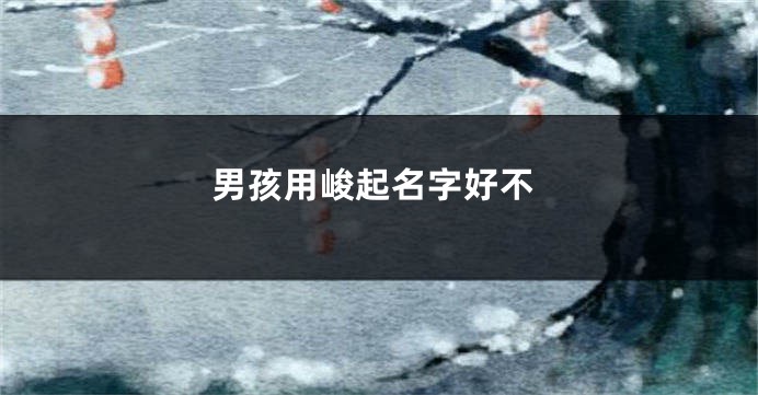 男孩用峻起名字好不