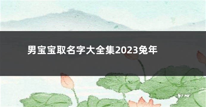 男宝宝取名字大全集2023兔年