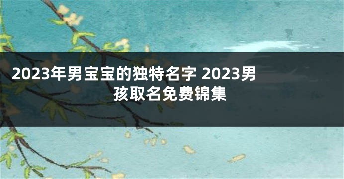 2023年男宝宝的独特名字 2023男孩取名免费锦集