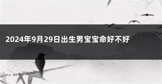 2024年9月29日出生男宝宝命好不好