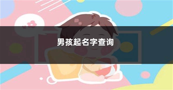 男孩起名字查询