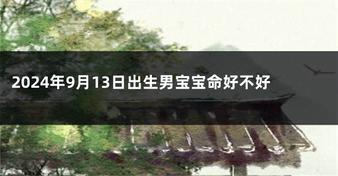 2024年9月13日出生男宝宝命好不好