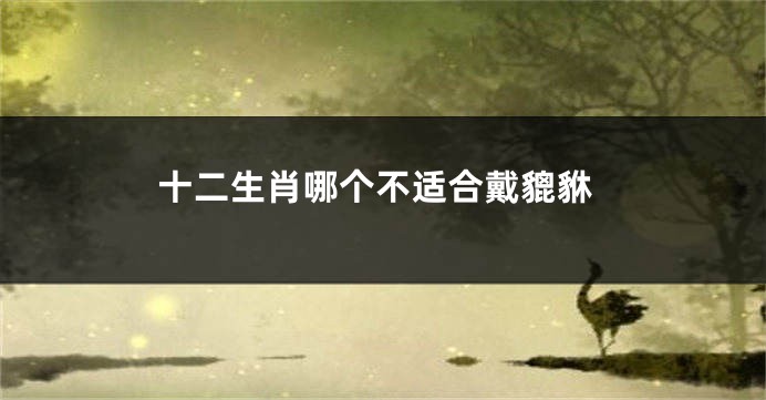 十二生肖哪个不适合戴貔貅