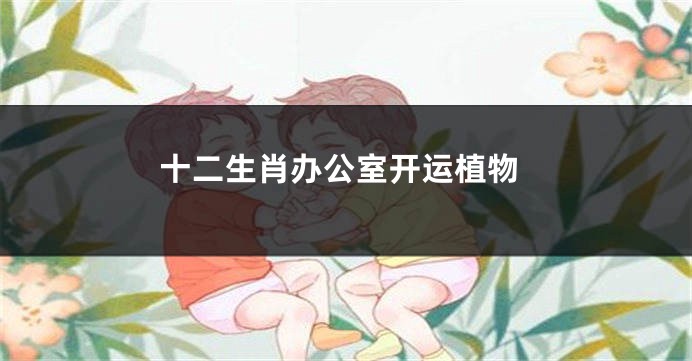 十二生肖办公室开运植物