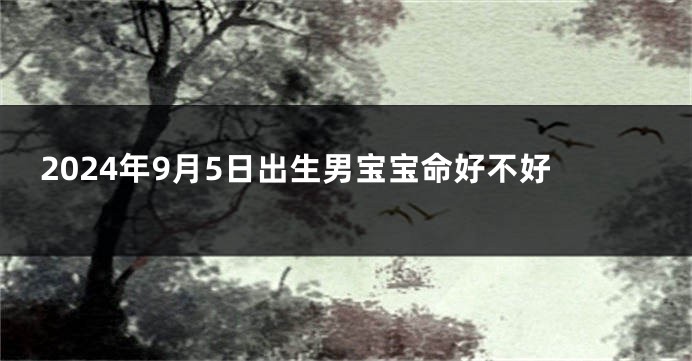 2024年9月5日出生男宝宝命好不好