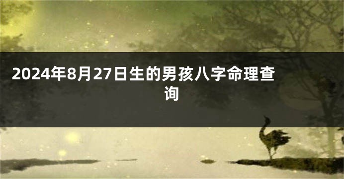 2024年8月27日生的男孩八字命理查询