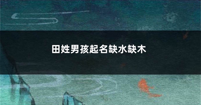田姓男孩起名缺水缺木