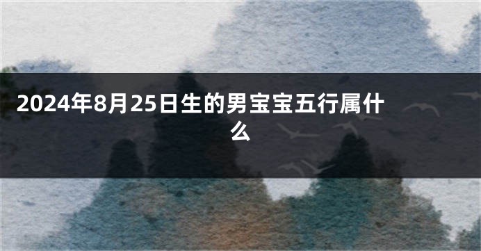 2024年8月25日生的男宝宝五行属什么