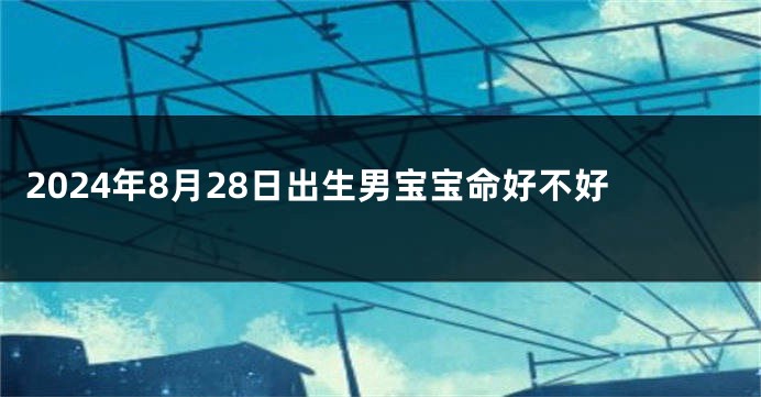 2024年8月28日出生男宝宝命好不好