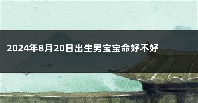 2024年8月20日出生男宝宝命好不好