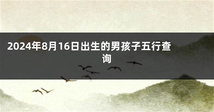 2024年8月16日出生的男孩子五行查询