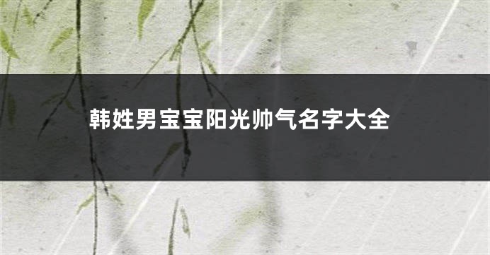 韩姓男宝宝阳光帅气名字大全