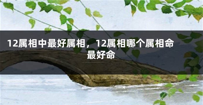 12属相中最好属相，12属相哪个属相命最好命