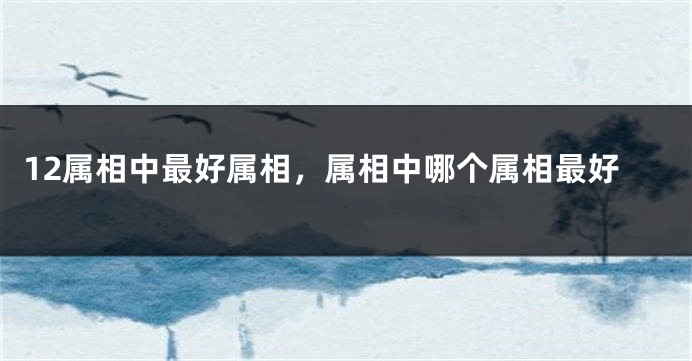 12属相中最好属相，属相中哪个属相最好