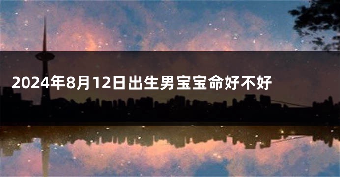 2024年8月12日出生男宝宝命好不好