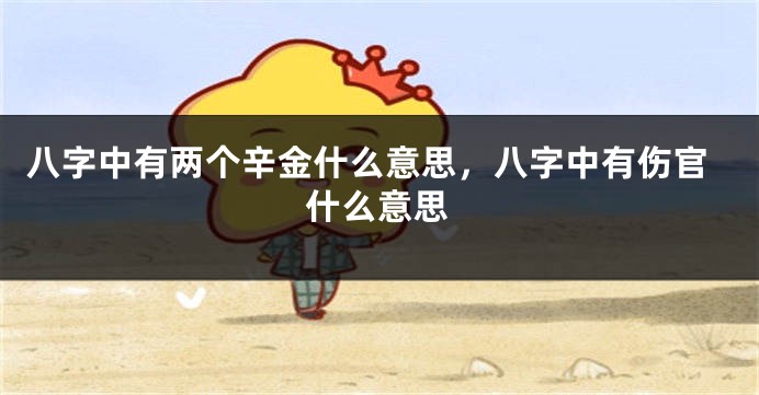 八字中有两个辛金什么意思，八字中有伤官什么意思