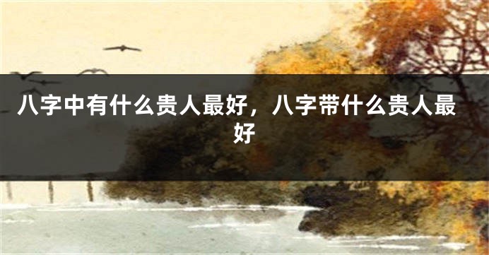 八字中有什么贵人最好，八字带什么贵人最好