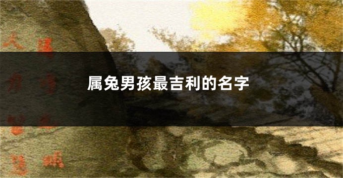 属兔男孩最吉利的名字