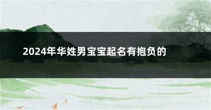 2024年华姓男宝宝起名有抱负的