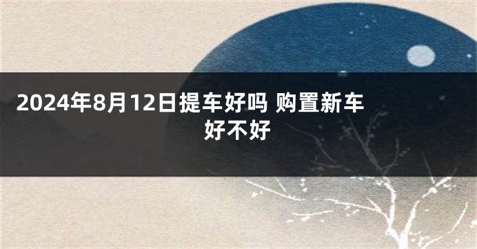 2024年8月12日提车好吗 购置新车好不好