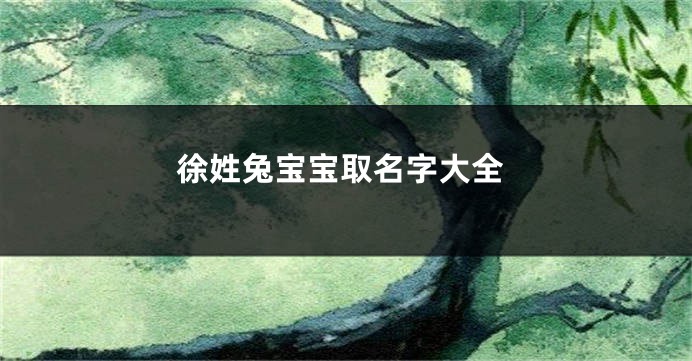 徐姓兔宝宝取名字大全