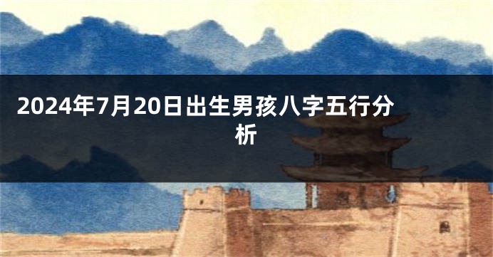 2024年7月20日出生男孩八字五行分析