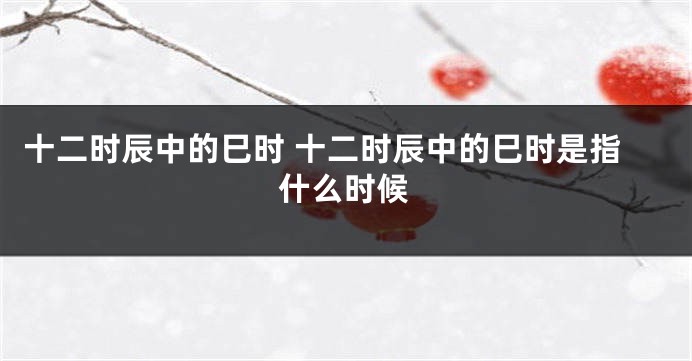 十二时辰中的巳时 十二时辰中的巳时是指什么时候