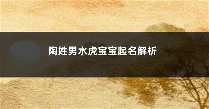 陶姓男水虎宝宝起名解析