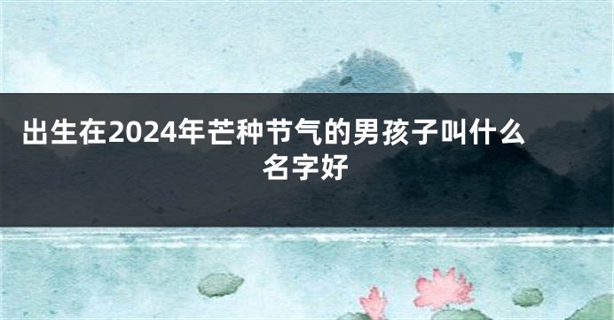 出生在2024年芒种节气的男孩子叫什么名字好