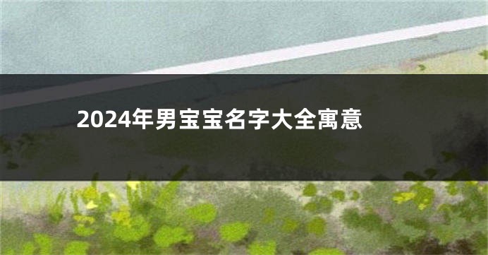 2024年男宝宝名字大全寓意