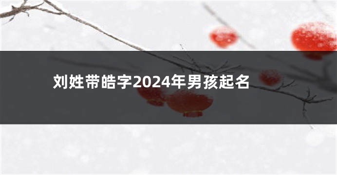 刘姓带皓字2024年男孩起名