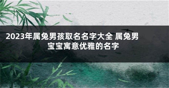 2023年属兔男孩取名名字大全 属兔男宝宝寓意优雅的名字