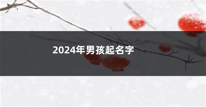 2024年男孩起名字