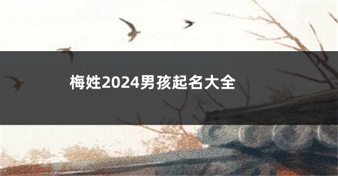 梅姓2024男孩起名大全