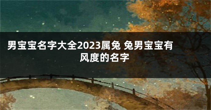 男宝宝名字大全2023属兔 兔男宝宝有风度的名字