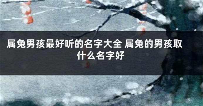 属兔男孩最好听的名字大全 属兔的男孩取什么名字好